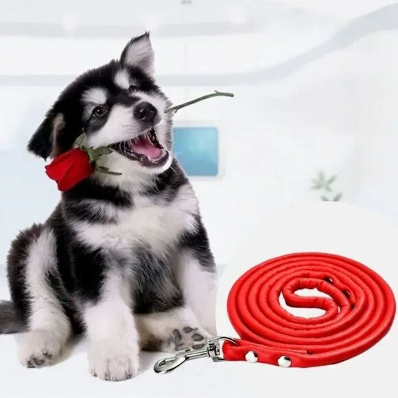 Xander Rey Red Leather Dog Leash Gift Packaged