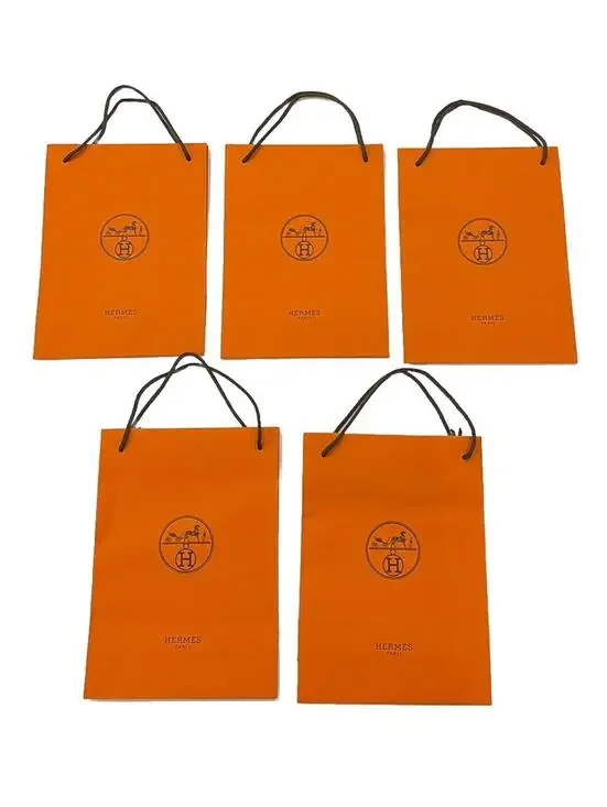 Hermes Orange Paper 5 Gift Bags Brown Cord Handles 8