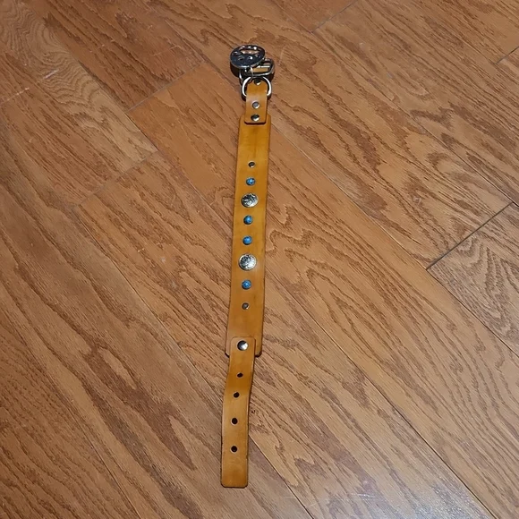 Large‎ dog collar