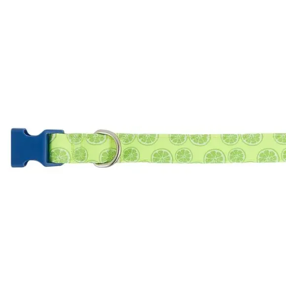 Top Paw Comfort Neoprene Dog Collar Size‎ Large Adjustable Green Limes