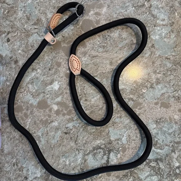 5' Nylon Leather Slip Lead Dog Leash Black Dog Training Walking Exercise