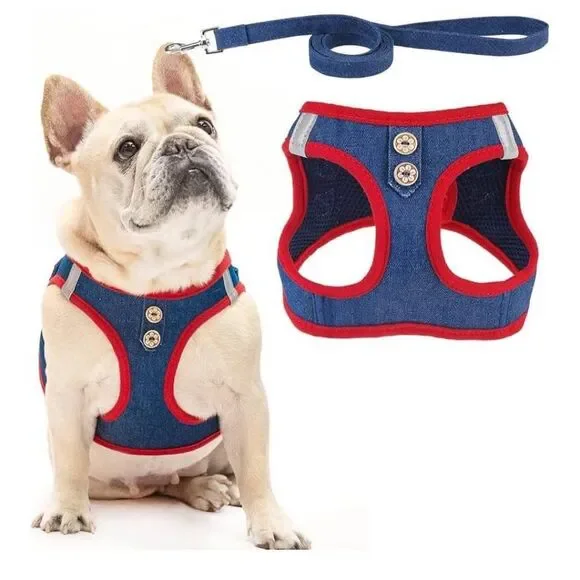 Dog Harness, NEW Small/Medium