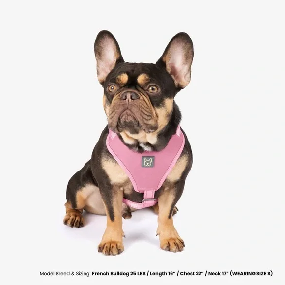 Nandog Pet Gear Neoprene Sport Dog Harness - Pink Size : S