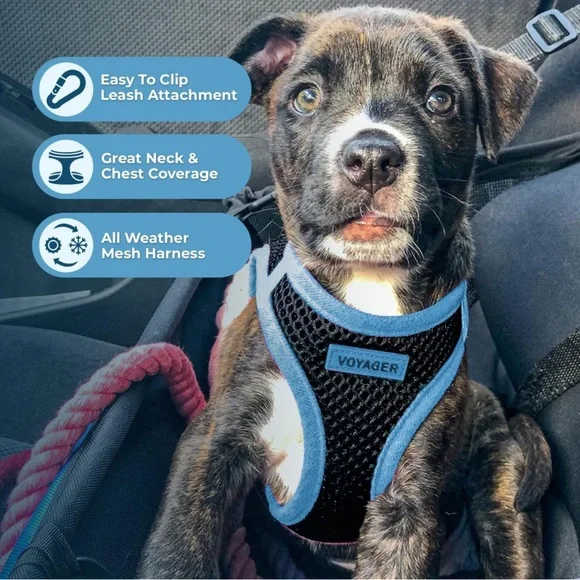 Voyager Step-In Air Dog Harness - All Weather Mesh Blue XS Size For Small Dogs