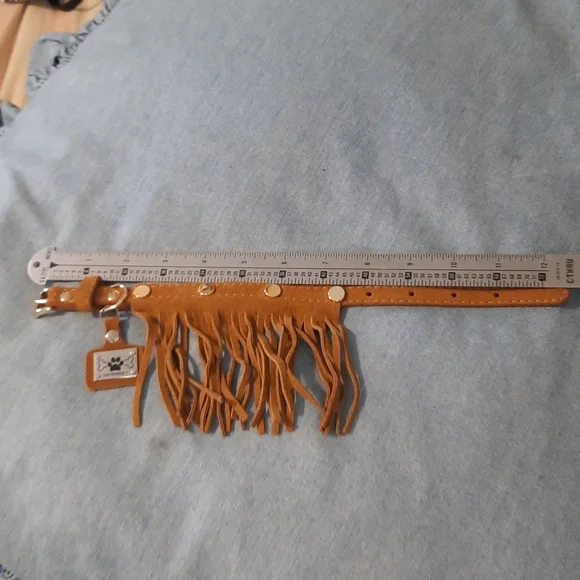 Nwot never used camel or Tan fringe dog collar leather
