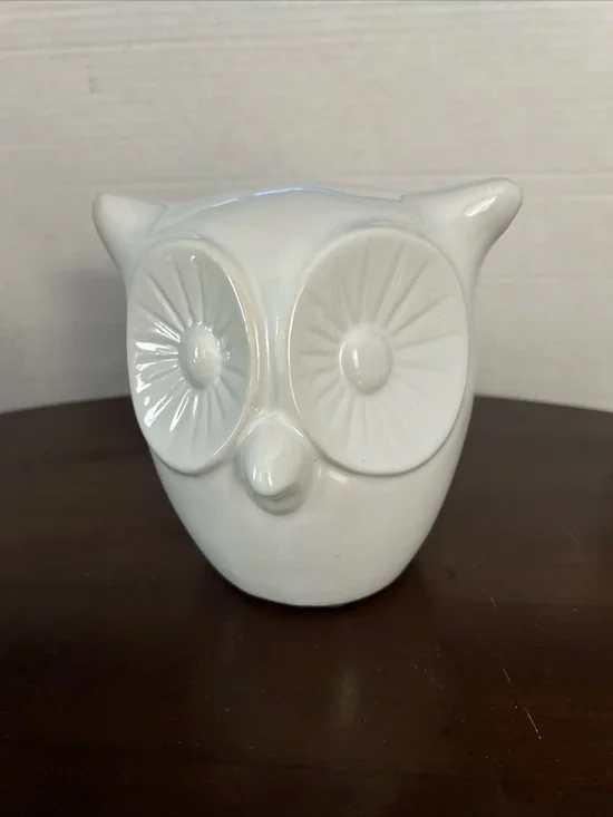 Pier 1 Glossy White Ceramic Owl Accent