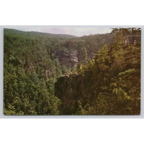 Tallulah Gorge Georgia Postcard Natural‎ Color View Scenic View