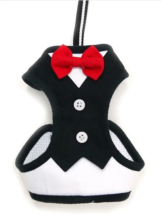 Dogo easily Bowtie harness. Size Large with matching leash.