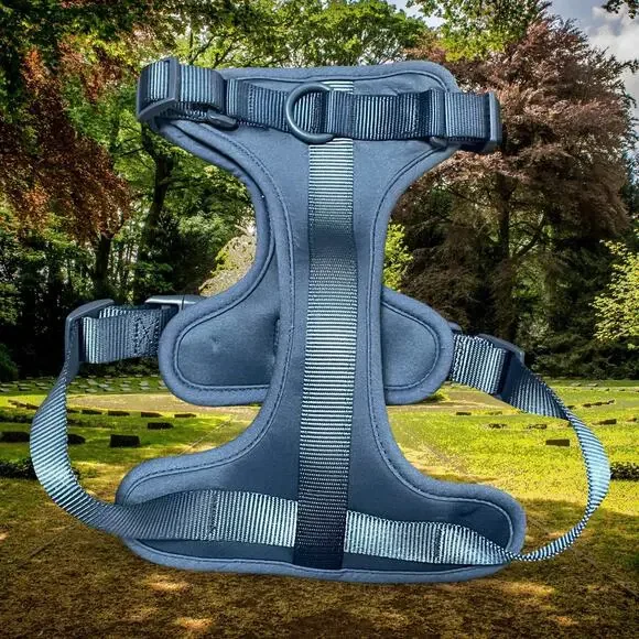 Wild One Cushioned Dog Harness Medium Blue No-Pull Adjustable Comfort Walking M