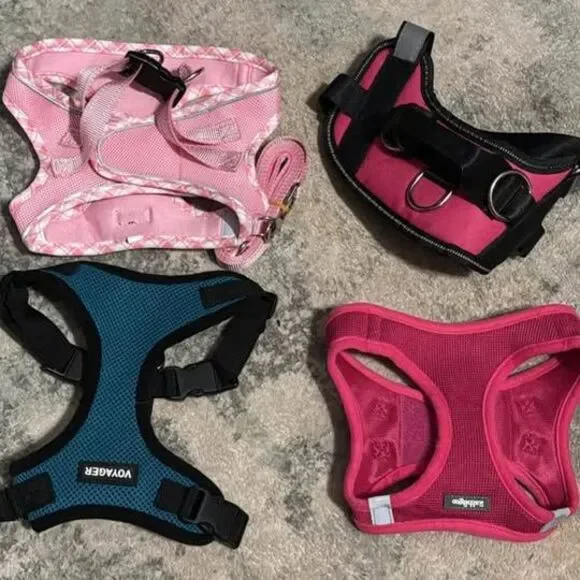 4 Small Dog Harness Bundle