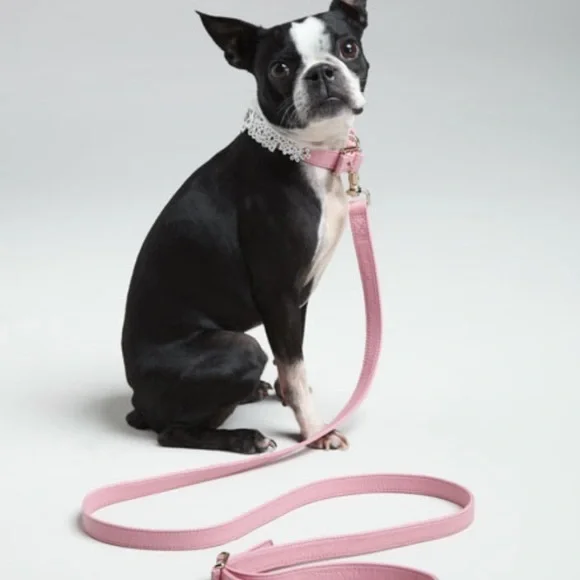 New Oscar De La Renta leather dog leash.