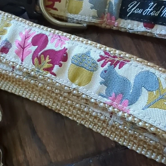 YOU HAD ME AT WOOF I Fall Autumn Squirrel Themed Dog Leash and Collar from Etsy