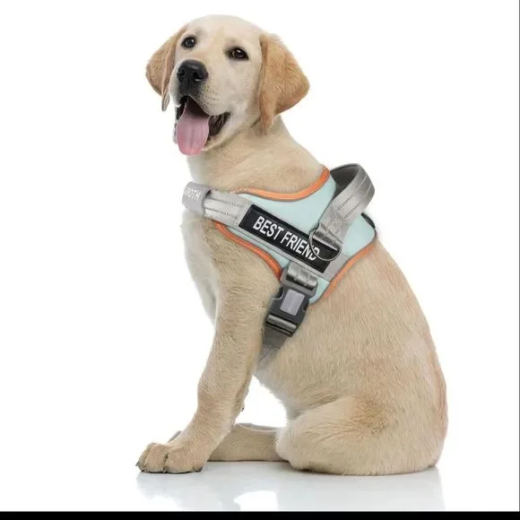 Dog Harness Set