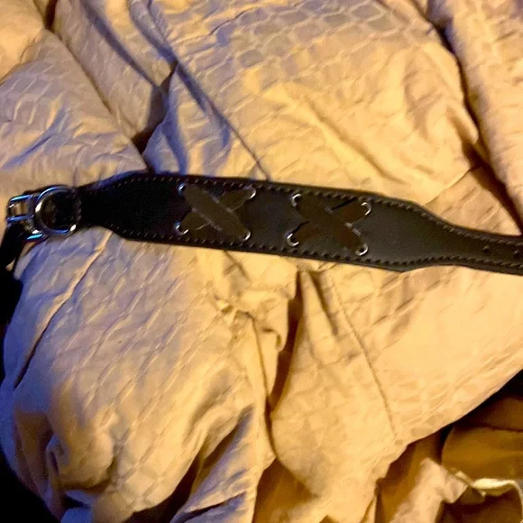 New Bret, Michaels, dog collar