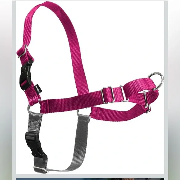 PetSafe Fuchsia and Gray Dog Harness easy walker pull free walk
