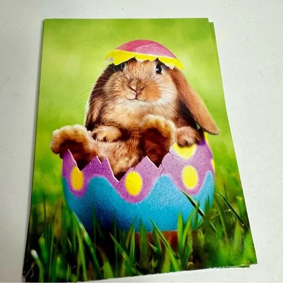 4 Avanti Greeting cards - bunny in Easter egg Holiday: Easter