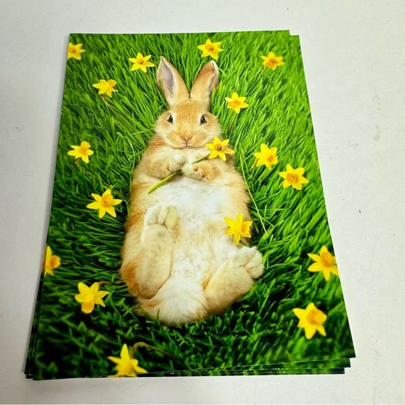 4 Avanti Greeting cards - bunny on back with flowers Holiday: Easter