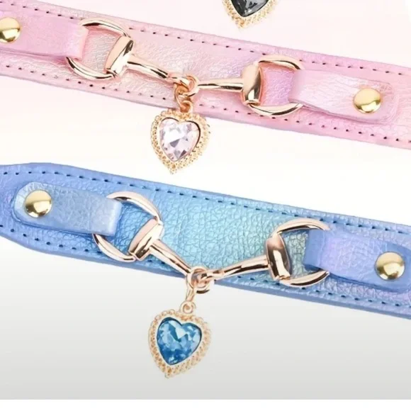 Blue Heart Charm Pet Collar