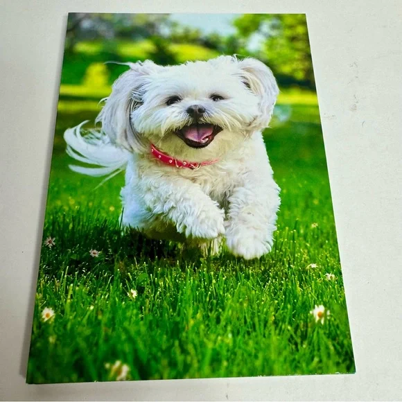 5 Avanti Greeting cards- white dog running through grass Holiday: Valentines Day