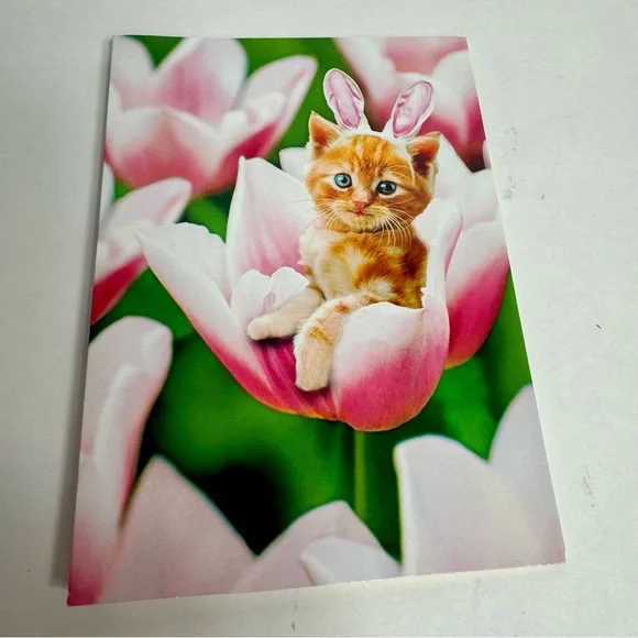 4 Avanti Greeting cards- cat kitten with bunny ears in flower Holiday: Easter