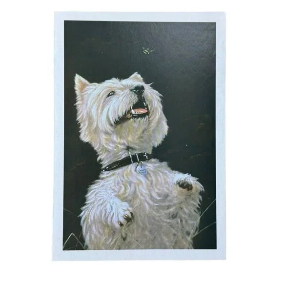 SCOTTISH TERRIER The Humane Society Greeting Card Blank 2021 Vintage Check Pics