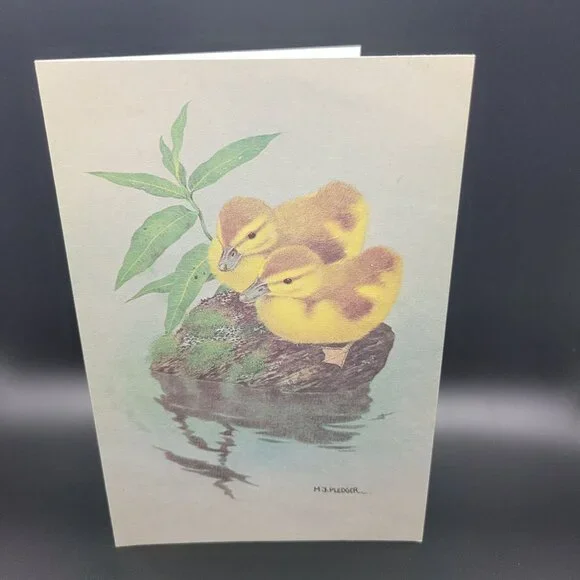 M.J. Pledger Greeting Card Ducklings in Pond Friendship‎ Unused