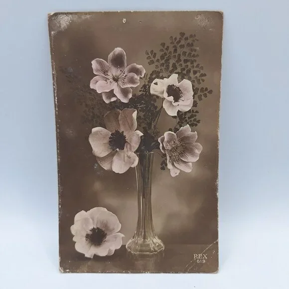 Antique REX 619 Floral Postcard Sepia Botanical Art‎ Belgium Postmark Brown Aged