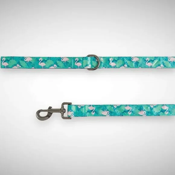 Top Paw‎ Flamingo Graphic Satin Nylon Dog Leash D-Ring Handle 4 FT