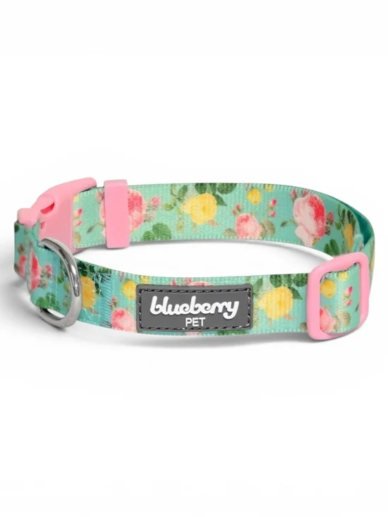 Blueberry Pet Floral Mint Adjustable Dog Collar Pink and Green Size L