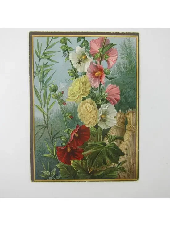 Victorian Greeting Card Flowers Red Pink White Hollyhocks Bee Dragonfly Antique
