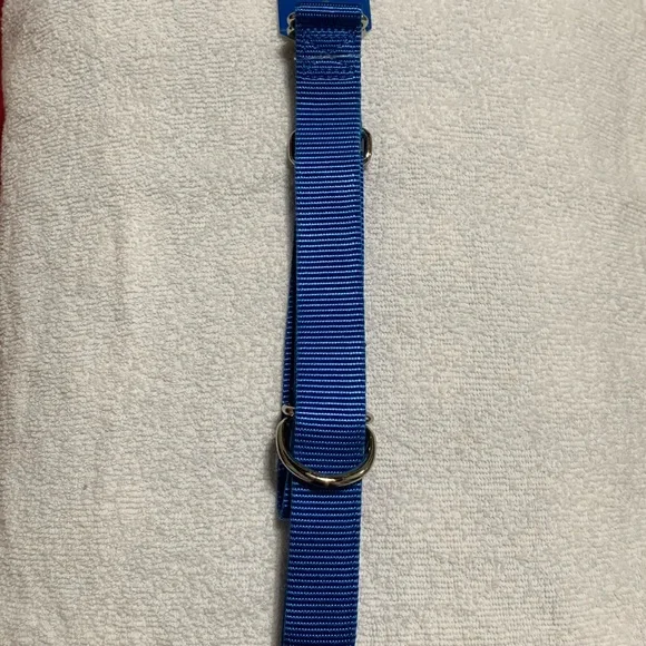🔥NWT dog collar