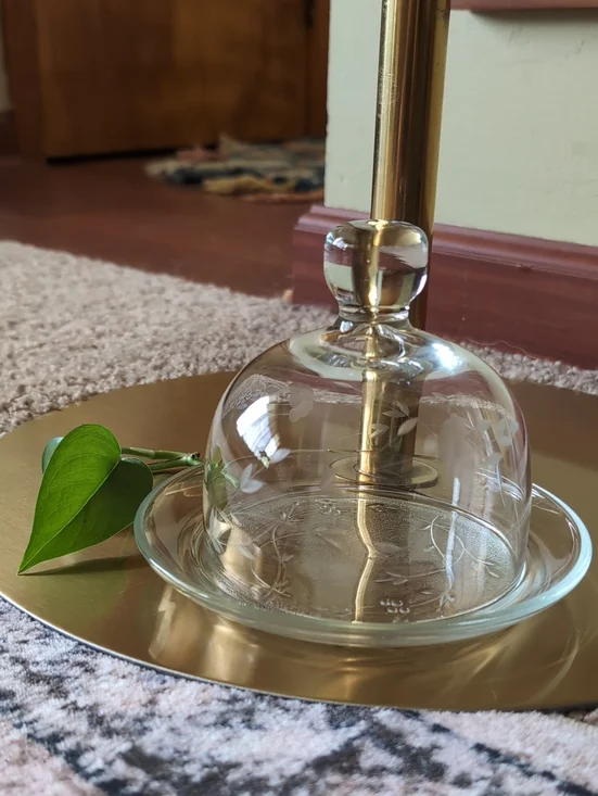 Butter Dish