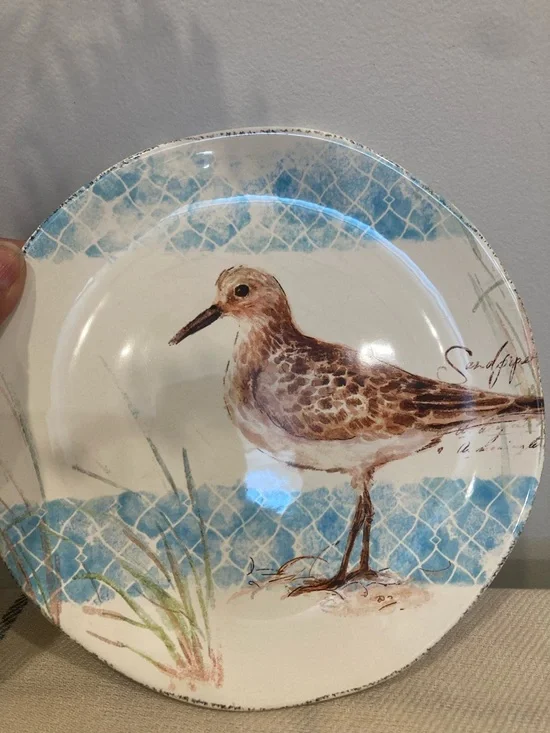 Pier 1 Sandpiper Dinner Plate in Blue and Brown
