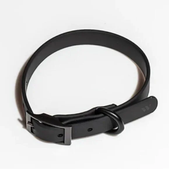 Wild One Black Dog Collar Size S