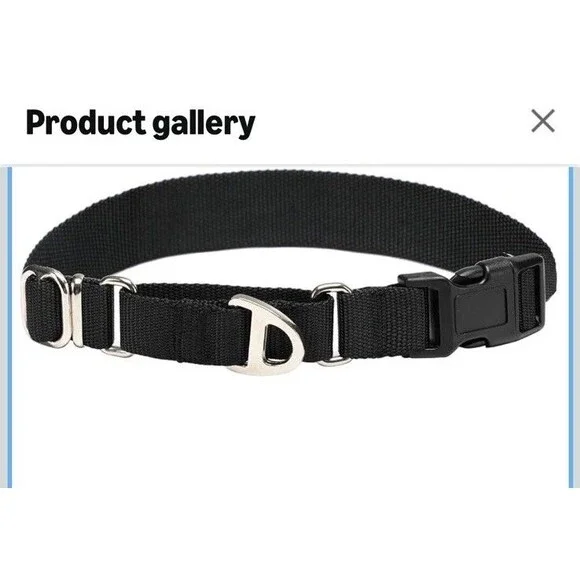 Martingale Dog Collar - Training Collar Adjustable Black Large 1 Inch