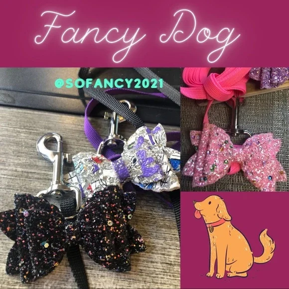 🥳🐾Dog Leash and Detachable Bow Set in Sparkles🐾🥳