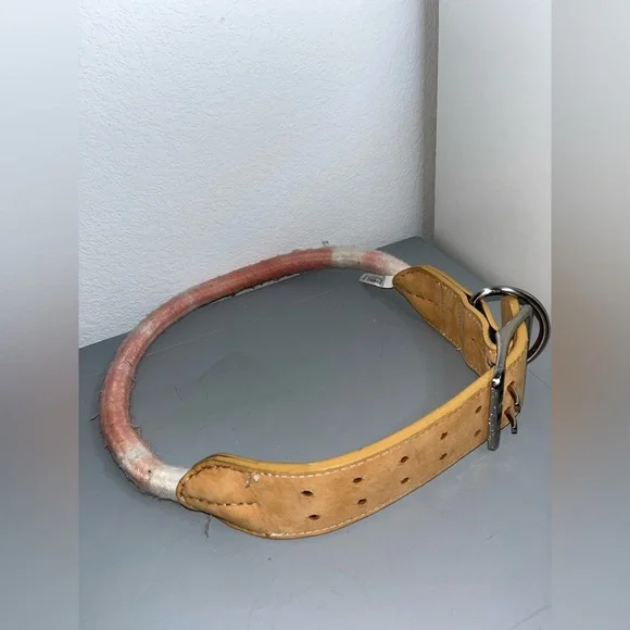 Youly Avant- Garde Braided NWOT Chunky Belted Dog Collar Adjustable Hole 36”