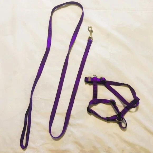 Dog Harness and Leash Unbranded Purple Medium Adjustable
