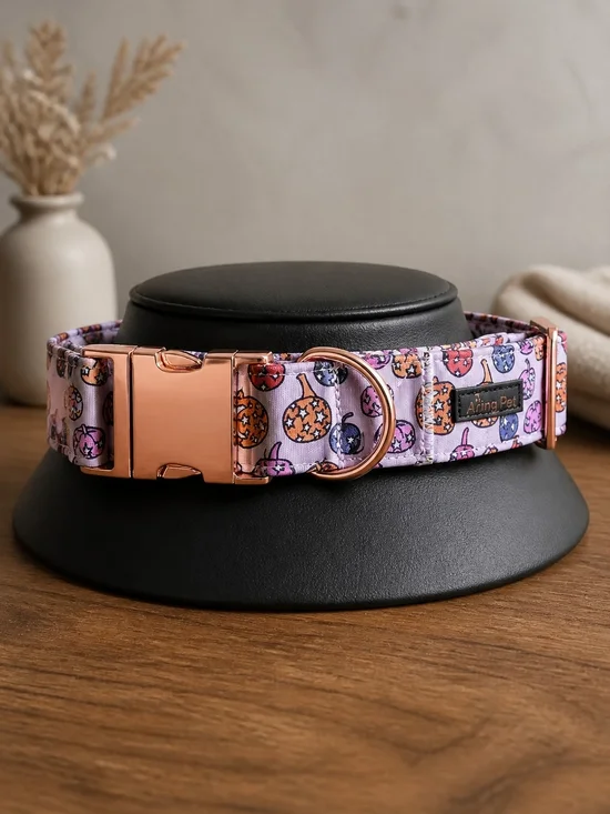 Lavender Pumpkin Print Dog Collar with Rose Gold Hardware