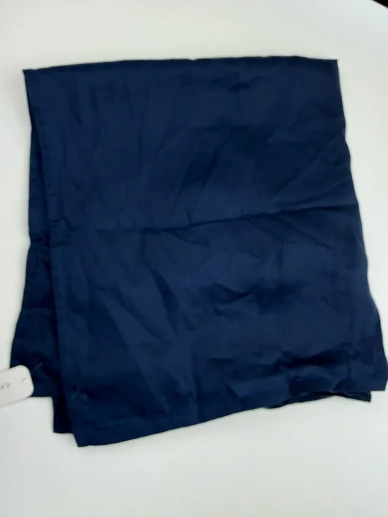 POTTERY BARN Tencel Euro Sham Midnight Blue