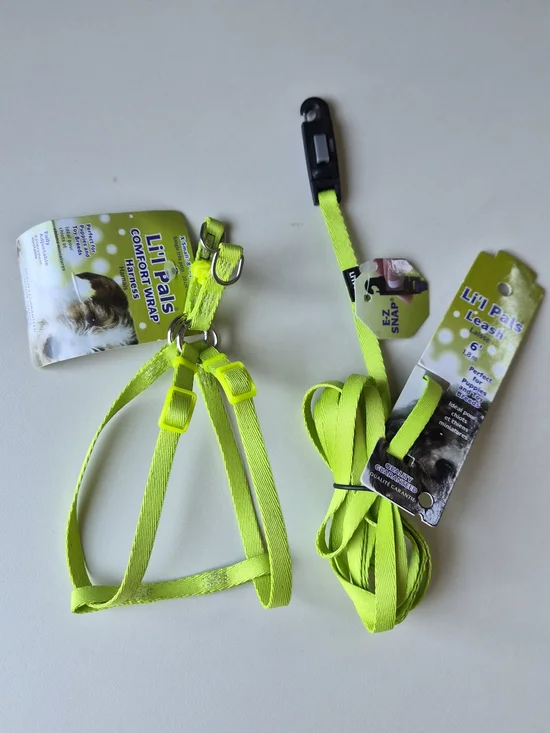 Neon Green Dog Harness & Leash Set Toy Breeds