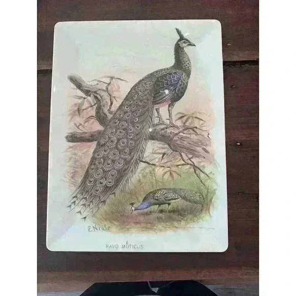 VTG‎ Pottery Barn Peacock Tray Pavo Muticus E Neale Melamine 16