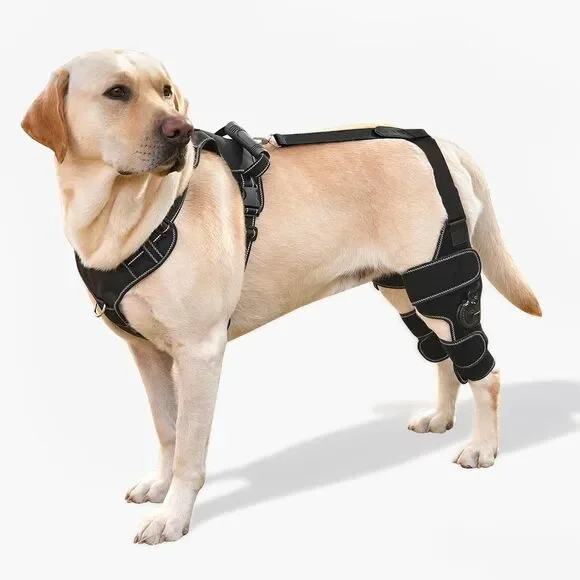FurWell Dog Knee Brace with Adjustable Support – ACL & CCL Tear Recovery LARGE