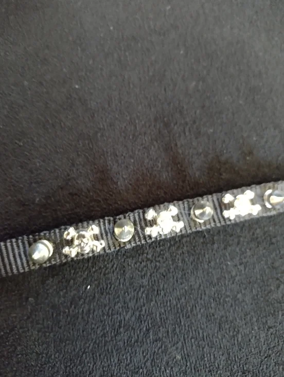 Studded Black Skull & Crossbones Small Dog/Cat Collar Cross Bones 11.25
