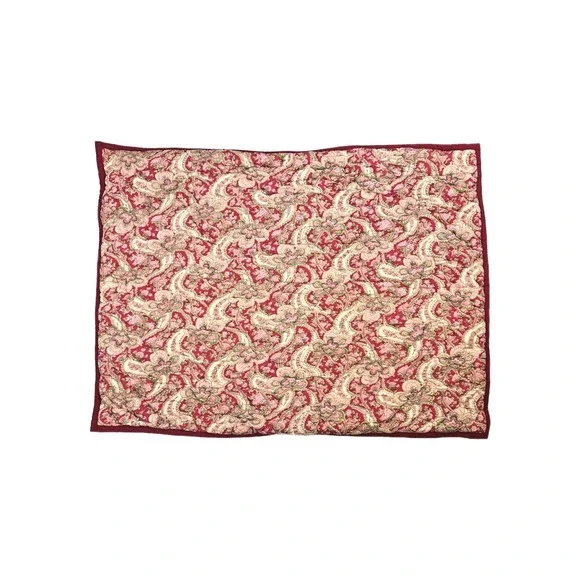 2 Pottery Barn Georgia Quilted Paisley Pillow Shams‎ Pink Red Standard