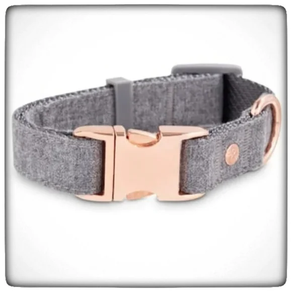 Bond & Co. Regal Rose Gold and Grey Dog Collar-XXSmall