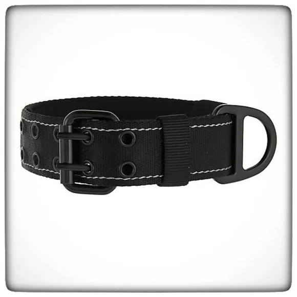 Dog KONG MAX Buckle Dog Collar-M