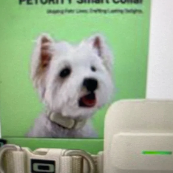 New In Box Petority Sm Glory White Smart Collar