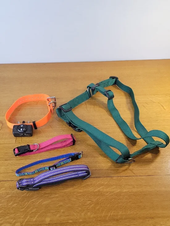 Lot Of 4 Dog Collars And 1 Harness Size Small To Medium