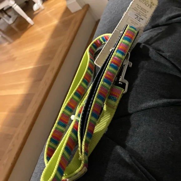 Colorful 🌈 xs 5ft leash 🐶💗